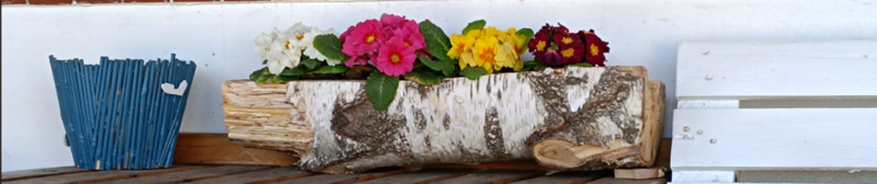 Aus einem Baustamm hergestellter Blumenkasten